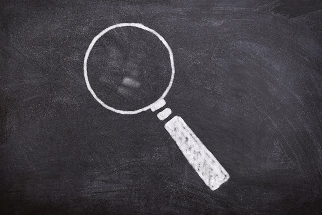 École de Commerce et Innovation : Les Programmes qui Changent Tout